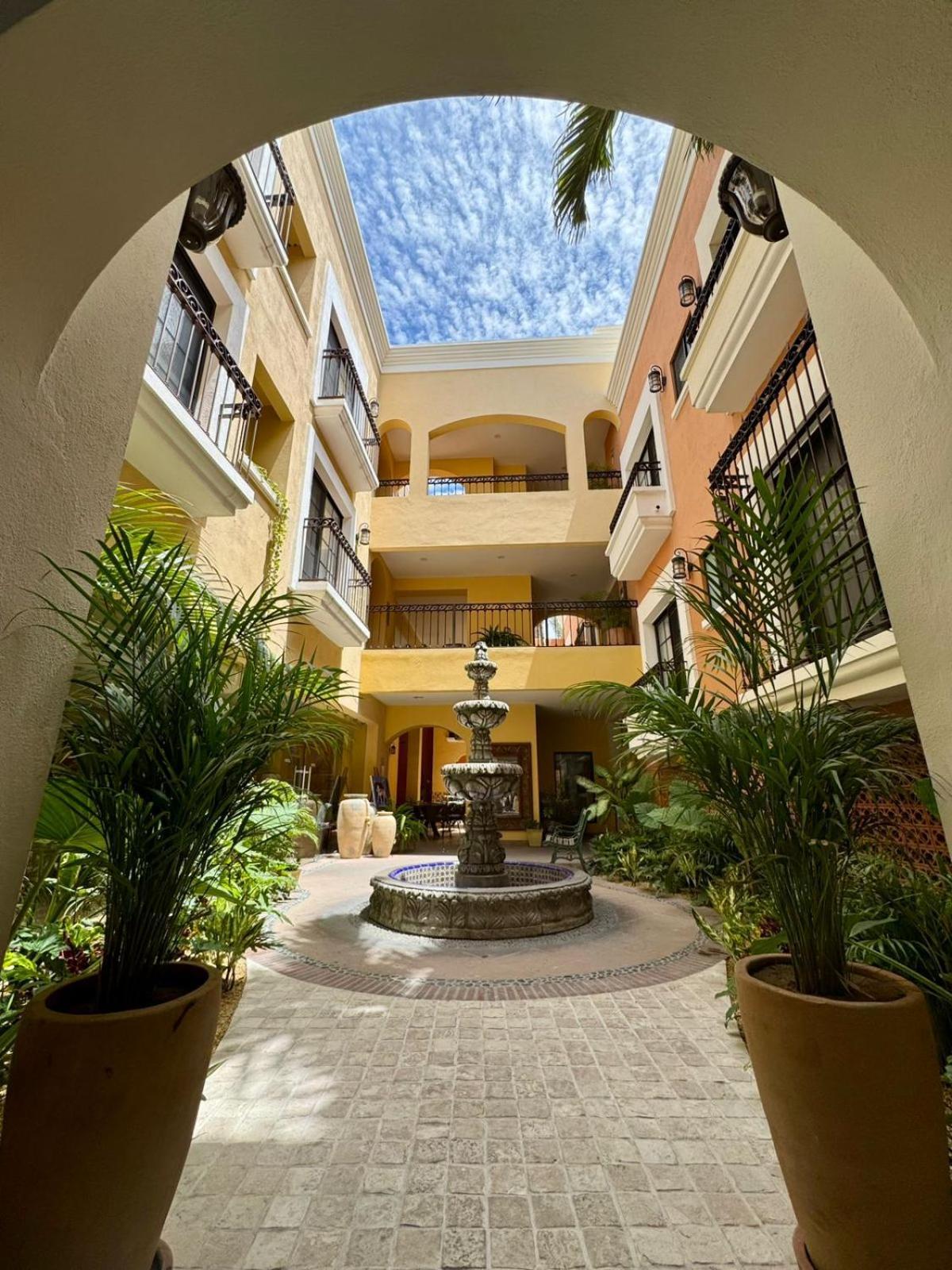 San José del Cabo Hotel Colli מראה חיצוני תמונה